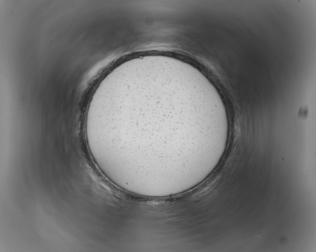 X0000114441406200911131505