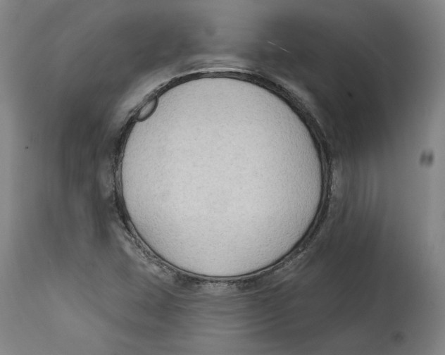 X0000114441407200911131505