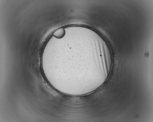 X0000114441408200911131505