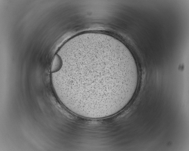 X0000114441409200911131505