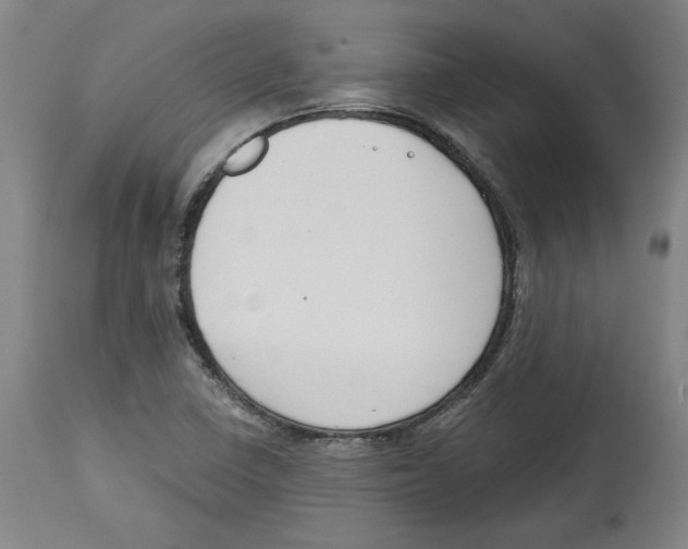 X0000114441410200911131505