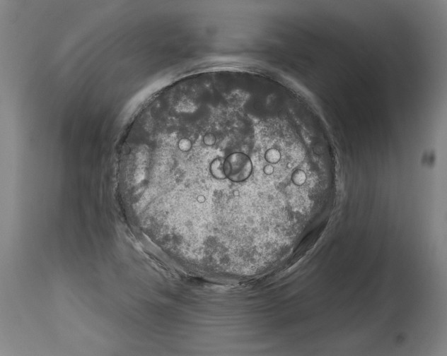 X0000114441411200911131505