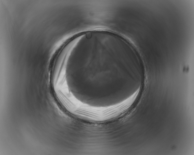 X0000114441414200911131505