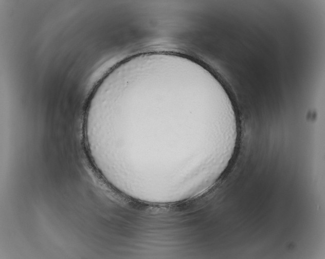 X0000114441415200911131505