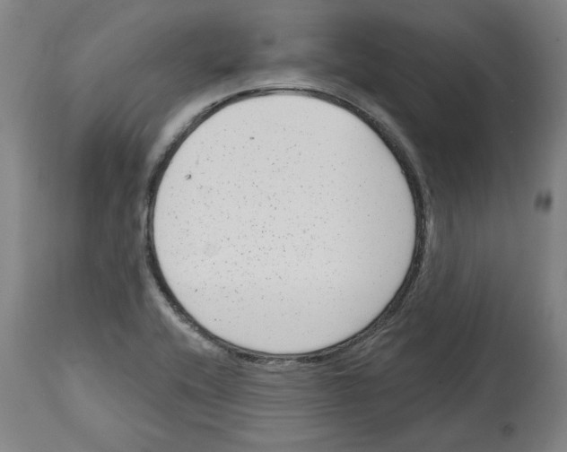 X0000114441416200911131505