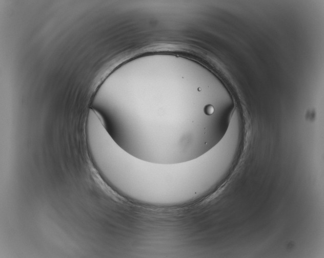 X0000114441417200911131505