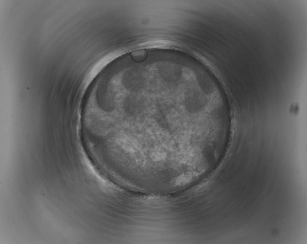 X0000114441418200911131505