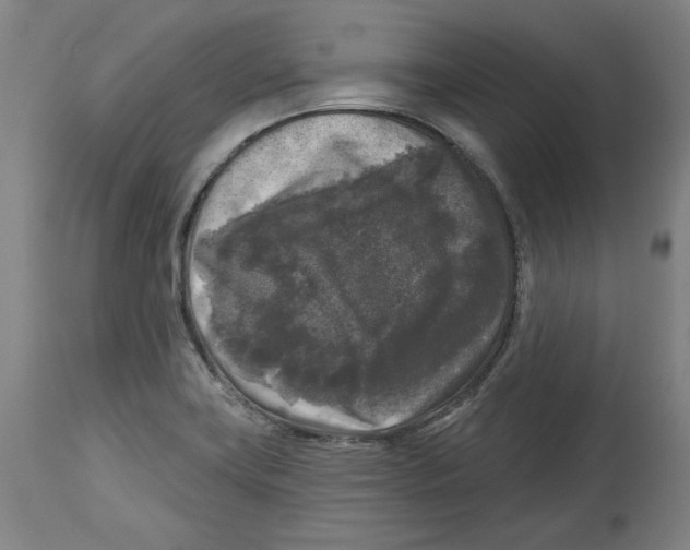 X0000114441419200911131505