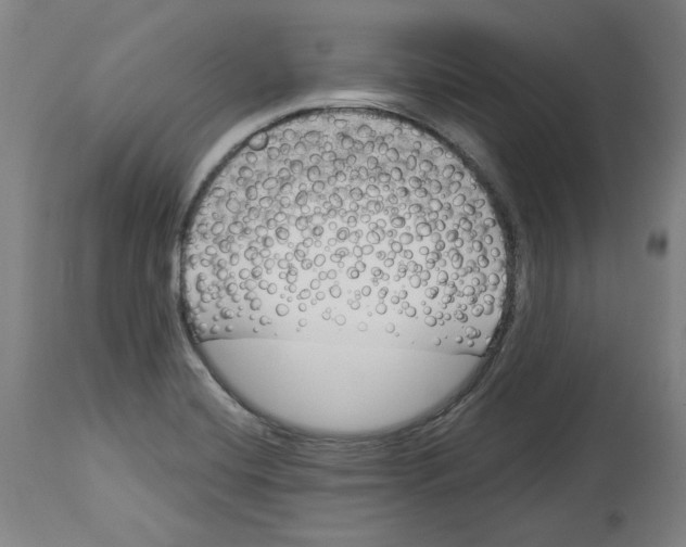 X0000114441420200911131505