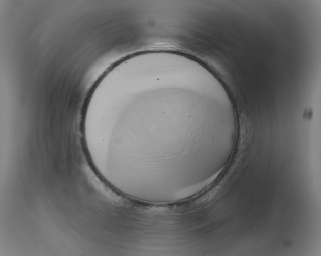 X0000114441422200911131505