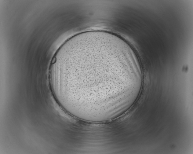 X0000114441423200911131505