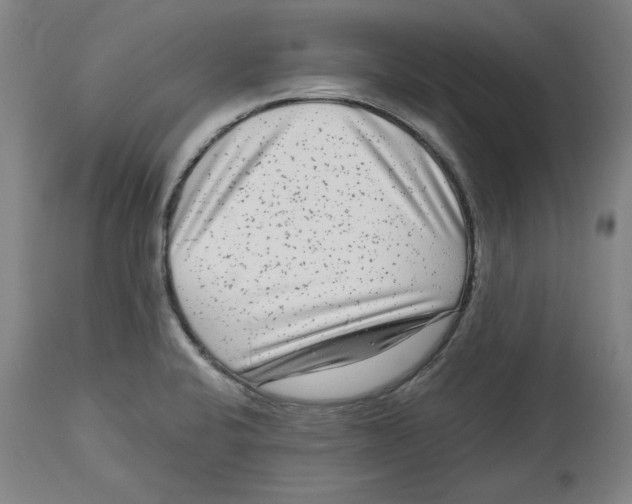 X0000114441424200911131505