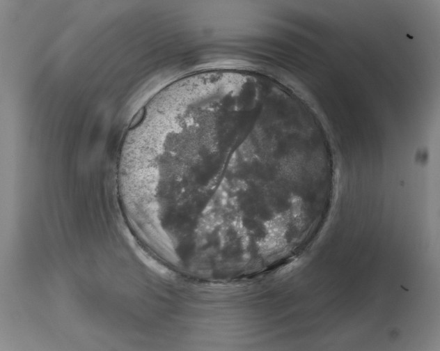 X0000114441425200911131505