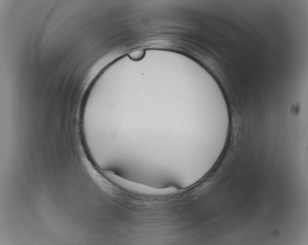 X0000114441426200911131505