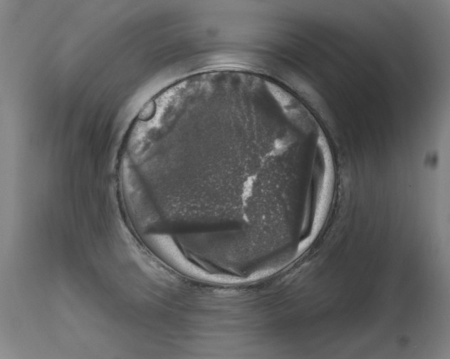 X0000114441427200911131505