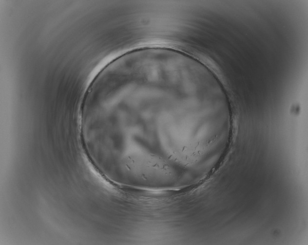 X0000114441428200911131505