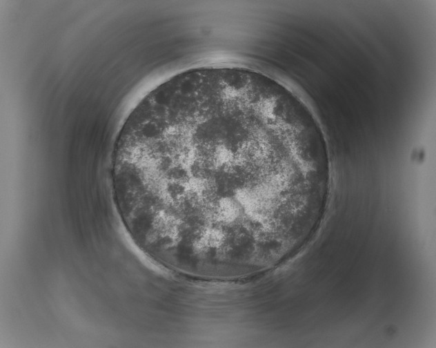 X0000114441429200911131506