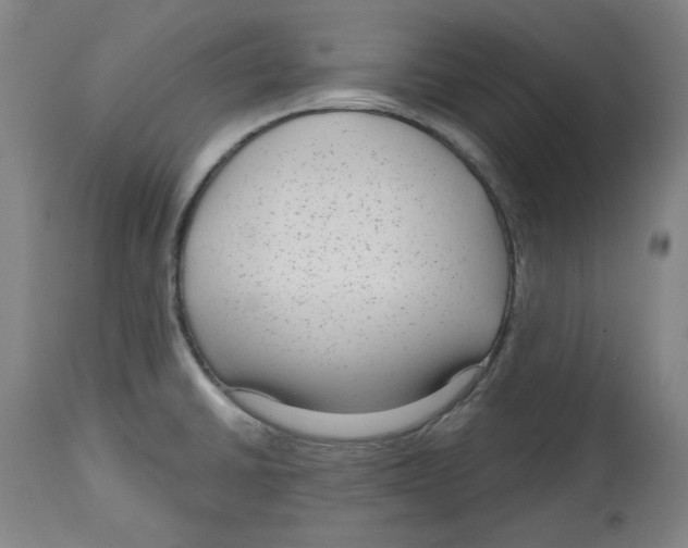 X0000114441430200911131506