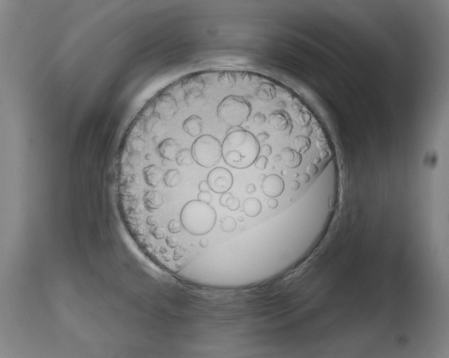 X0000114441432200911131506