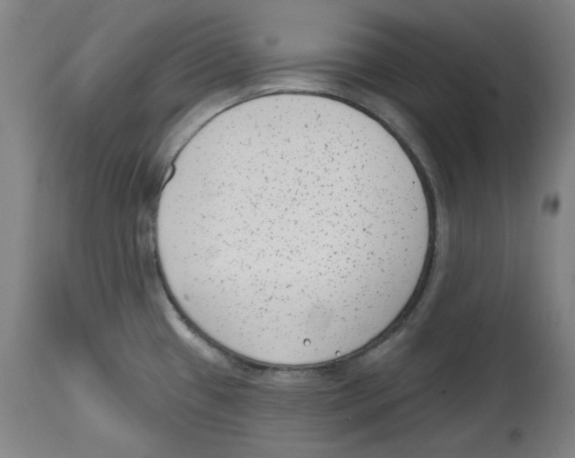 X0000114441433200911131506