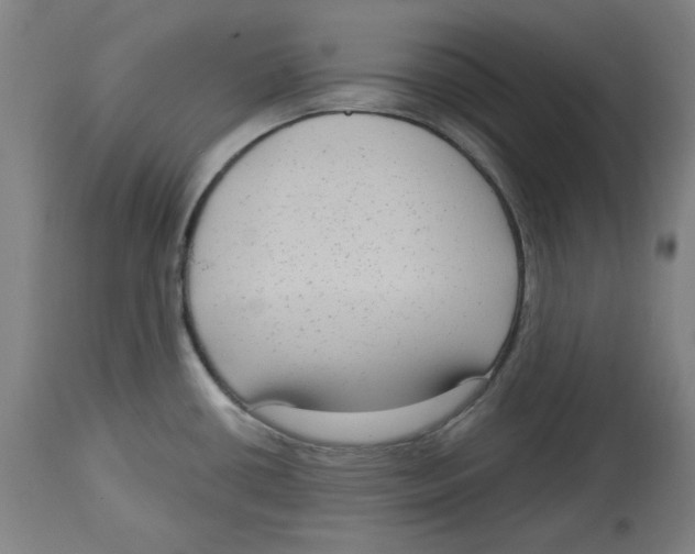 X0000114441434200911131506