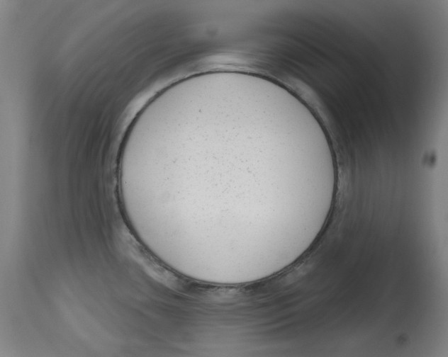 X0000114441435200911131506