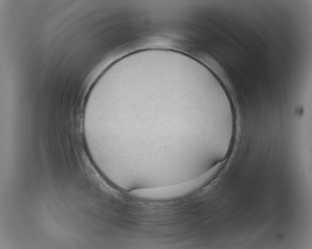 X0000114441436200911131506