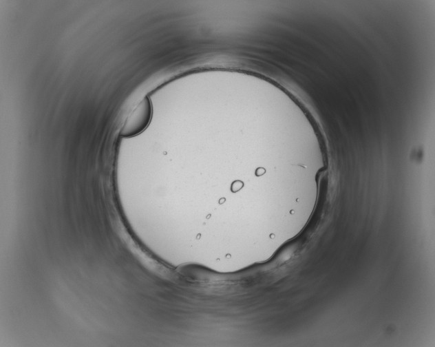 X0000114441437200911131506