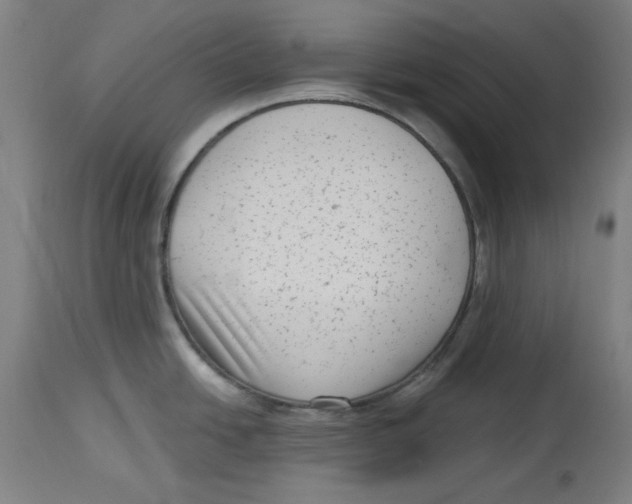 X0000114441438200911131506