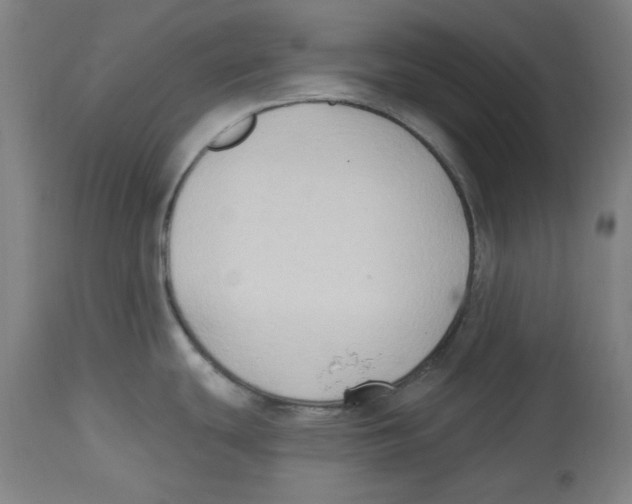 X0000114441439200911131506