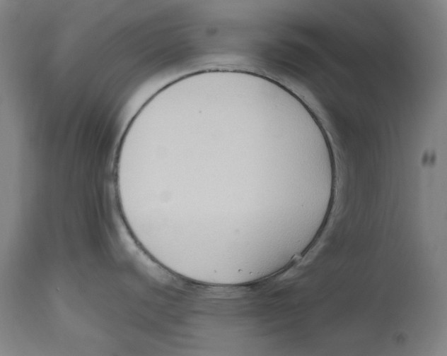 X0000114441440200911131506