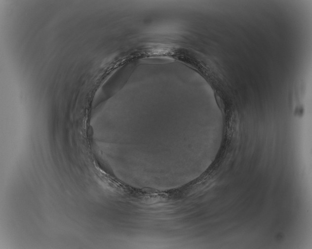 X0000114441441200911131505