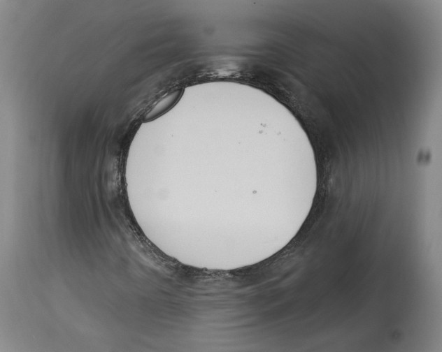 X0000114441442200911131505