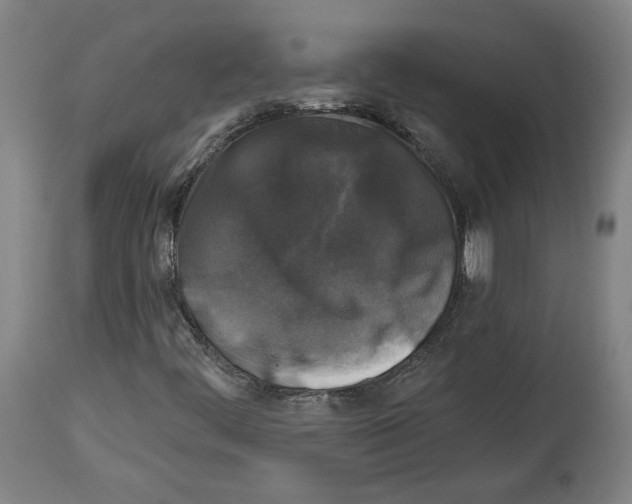 X0000114441444200911131505