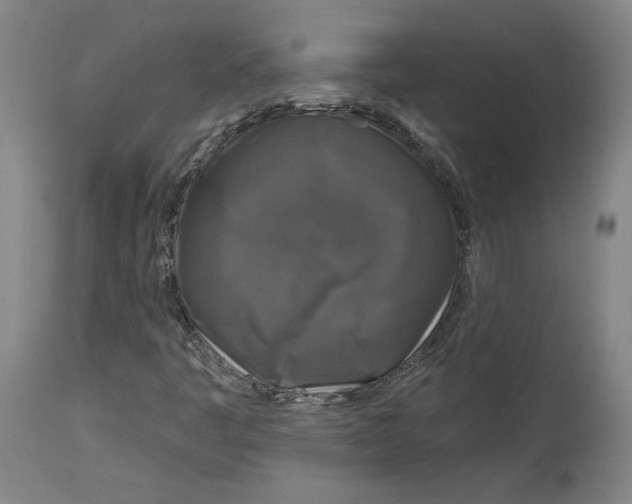 X0000114441445200911131505