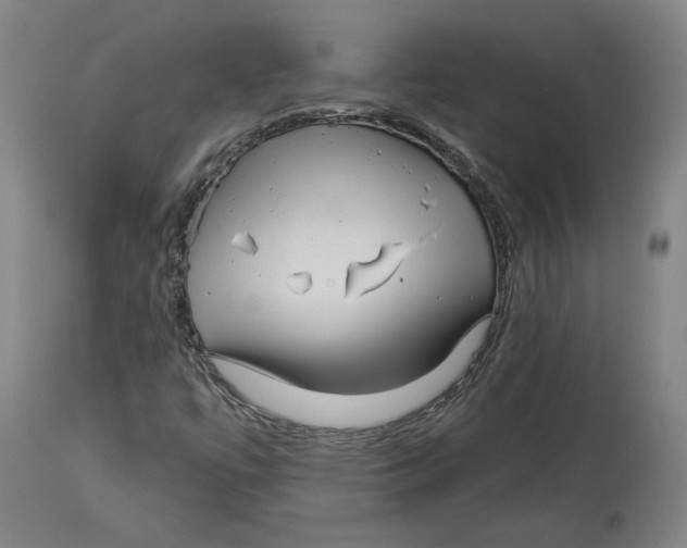 X0000114441447200911131505