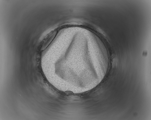 X0000114441448200911131505