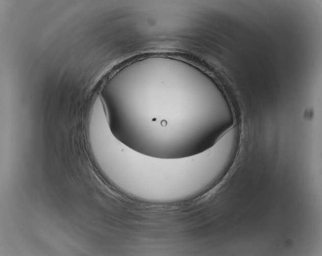 X0000114441449200911131505