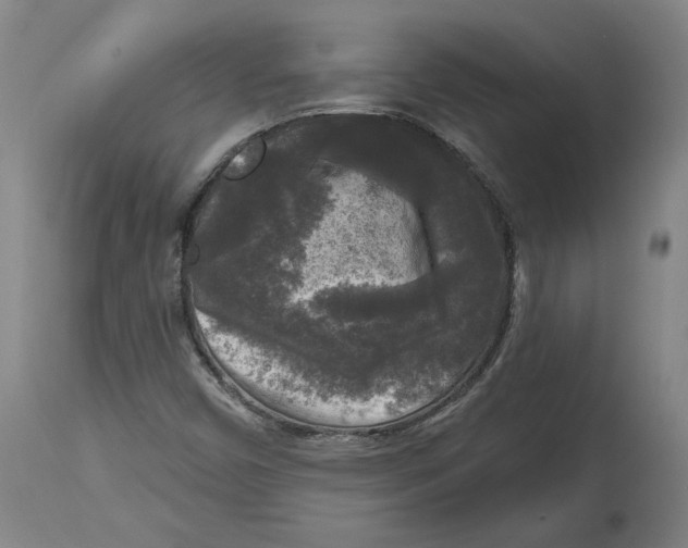 X0000114441450200911131505