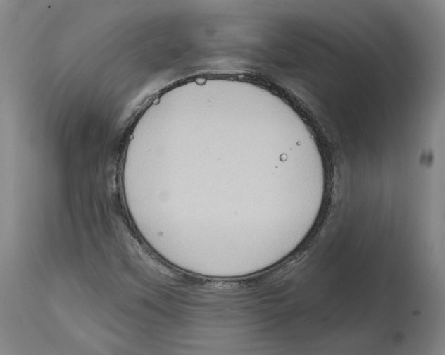 X0000114441451200911131505