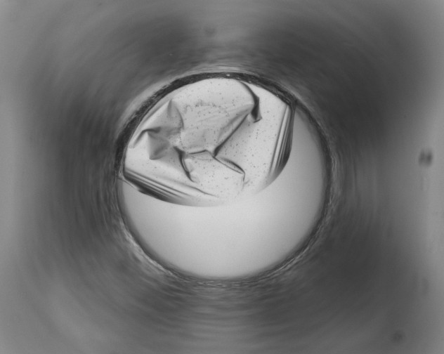 X0000114441452200911131505