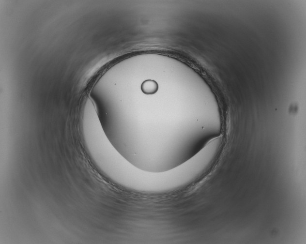 X0000114441453200911131505