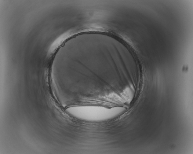 X0000114441455200911131505