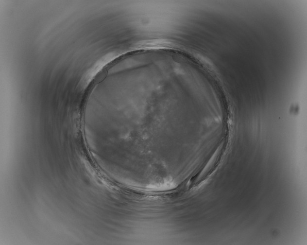 X0000114441457200911131505