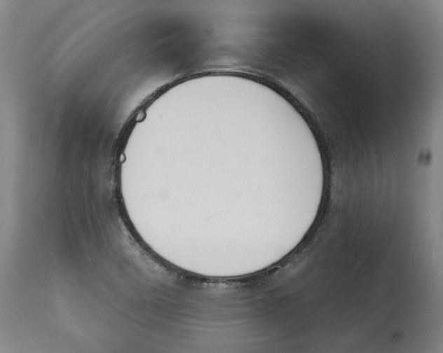 X0000114441458200911131505