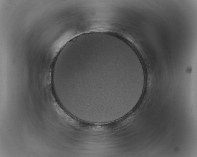 X0000114441459200911131505