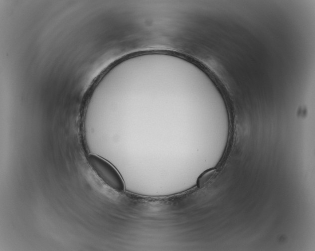 X0000114441460200911131505