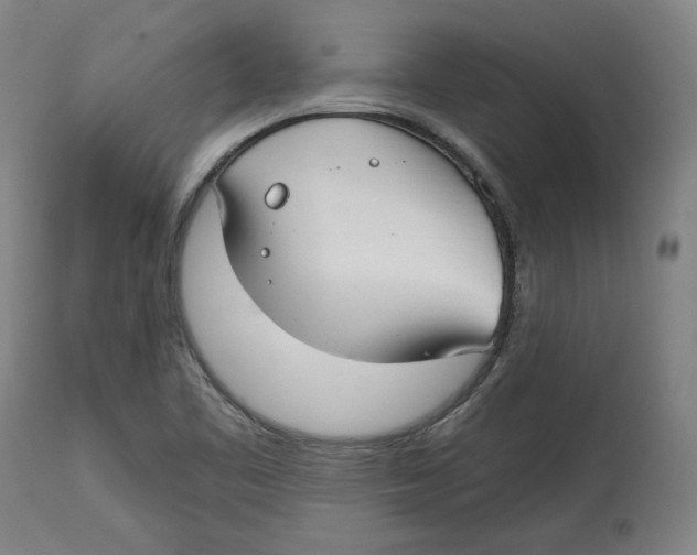 X0000114441461200911131505