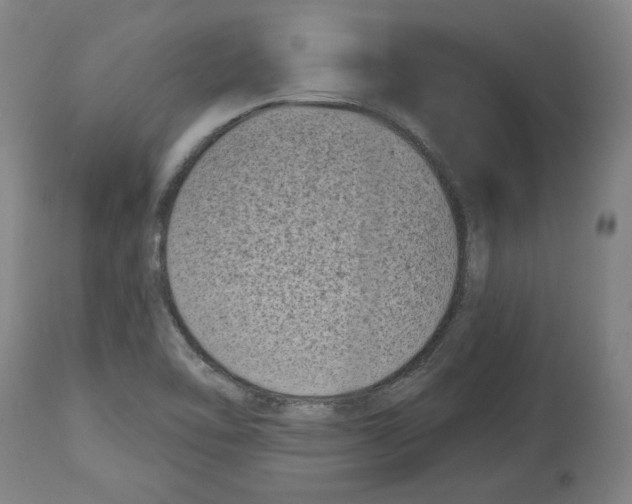 X0000114441462200911131505