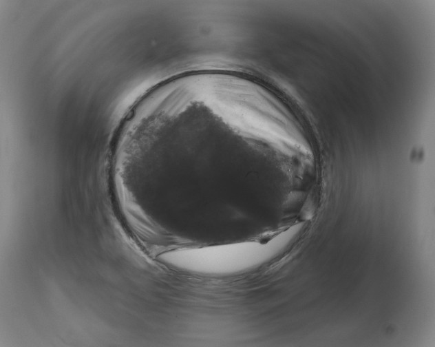 X0000114441463200911131505